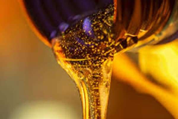 HYDRO CARBON OIL