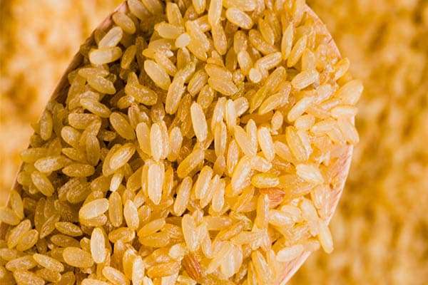 Rice bran