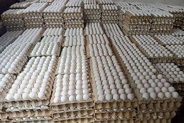 Eggs