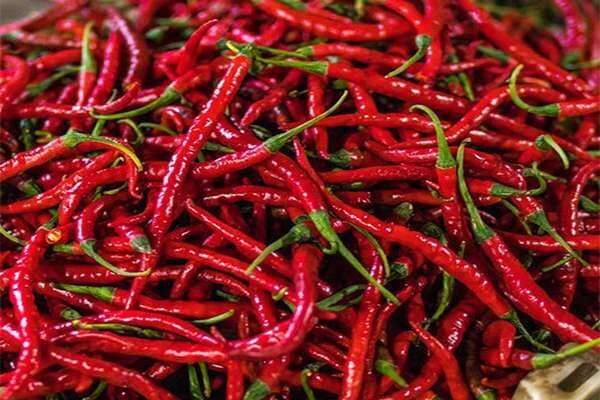 Red Chilly