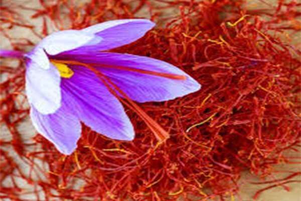 Saffron