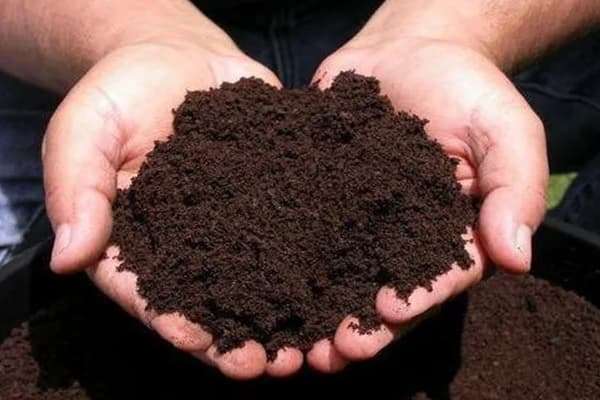 Vermi compost