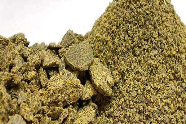 Cotton seed cake